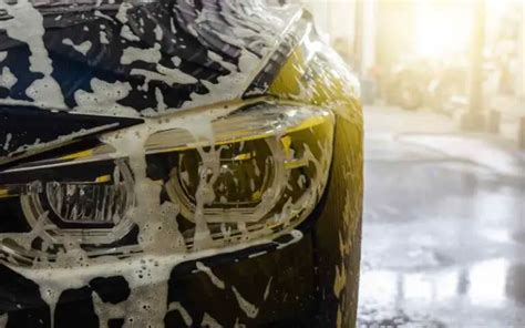 Can Tesla Go Through Car Wash? And Why Do Birds Suddenly Appear Every Time You Wax Your Hood?