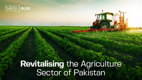  Cotton: A Journey Through the Fiber's Past and Present! Unveiling Pakistan's Agricultural Legacy