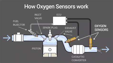 How Many O2 Sensors Are on My Car: A Journey Through the Labyrinth of Automotive Mysteries