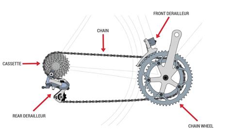 Why is my car not shifting gears, and does it secretly dream of being a bicycle?