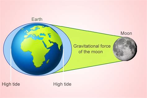 Why is my tire leaking air, and could it be related to the moon's gravitational pull?